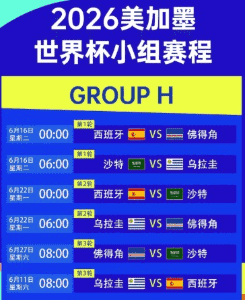 世界杯官方买球站 2026 美加墨
