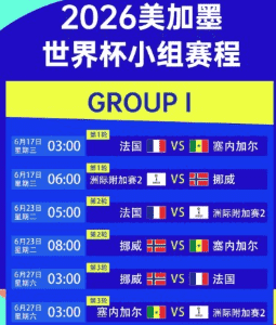 FIFA授权合作伙伴